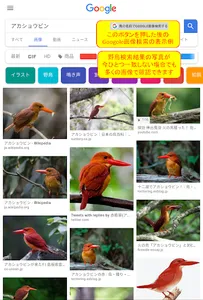 野鳥検索図鑑 screenshot 12