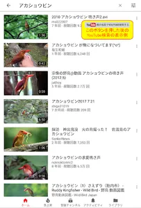 野鳥検索図鑑 screenshot 13