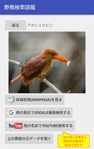 野鳥検索図鑑 screenshot 2
