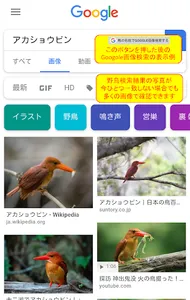 野鳥検索図鑑 screenshot 4