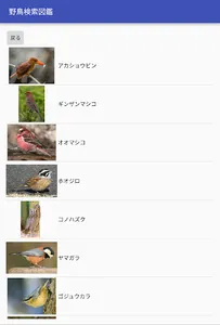 野鳥検索図鑑 screenshot 9