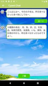 chamihebeliantest screenshot 1
