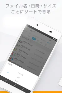 Remote Link Files screenshot 13