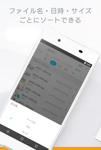 Remote Link Files screenshot 3