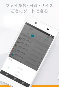 Remote Link Files screenshot 8
