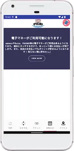 PICHI screenshot 2