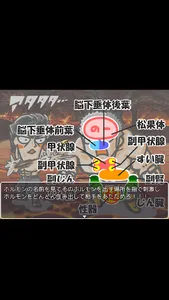 のほほん解剖生理学ミニ暗記 screenshot 2