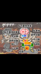 のほほん解剖生理学ミニ暗記 screenshot 3