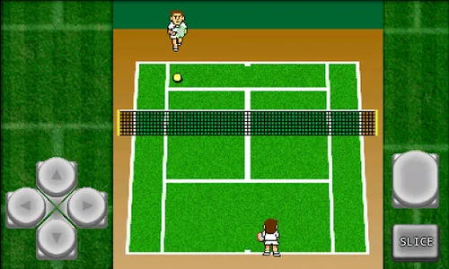 Gachinko Tennis screenshot 0