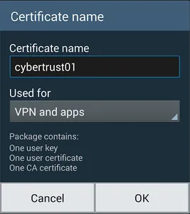 Certificate Importer screenshot 1