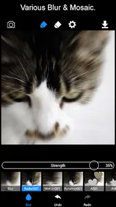 BokashiMaru screenshot 5