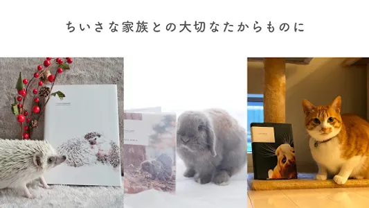 フォトブック：UCHINOKO Diary screenshot 4