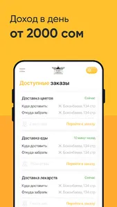 Ковер Самолёт для курьеров screenshot 0