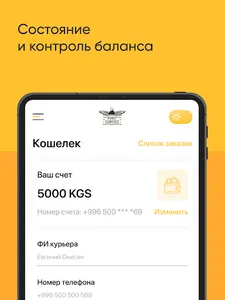 Ковер Самолёт для курьеров screenshot 15