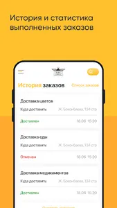 Ковер Самолёт для курьеров screenshot 3