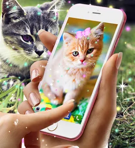 Cute kitty live wallpaper screenshot 20