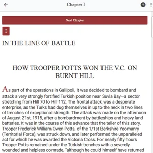 In the Line of Battle screenshot 2