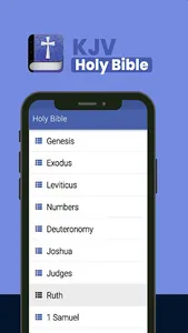 KJV Holy Bible offline screenshot 0