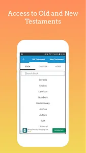 Holy Bible in many languages screenshot 4