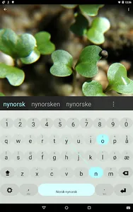 Nynorsk Keyboard plugin screenshot 0