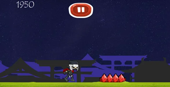 Ninja Warrior screenshot 3