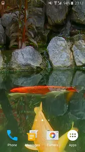 Koi Fish Video Wallpaper 3D screenshot 2