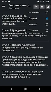 Закон о въезде и выезде в РФ screenshot 2