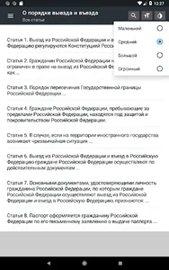 Закон о въезде и выезде в РФ screenshot 7