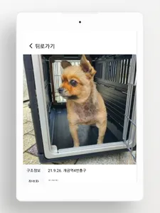 부산119 구조동물 screenshot 4