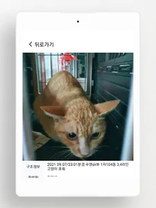 부산119 구조동물 screenshot 8