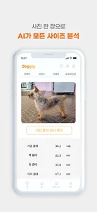 도글리 - AI 강아지 옷 쇼핑 플랫폼 screenshot 3