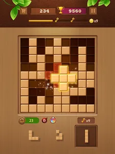 Block Puzzle - Wood Sudoku screenshot 10