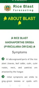 DSS Rice blast screenshot 0