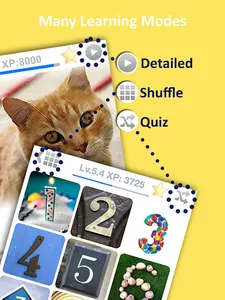 Learn Turkish - Turkish Vocabu screenshot 12