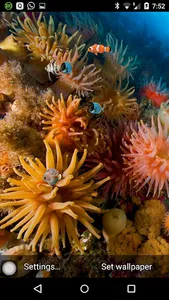 Coral reef live wallpaper screenshot 1