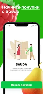 Sauda screenshot 4
