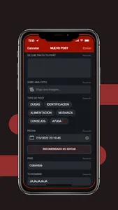 LATANTS screenshot 2