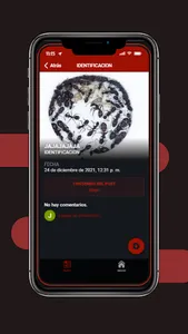 LATANTS screenshot 3