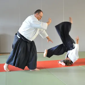 Learn Aikido screenshot 0