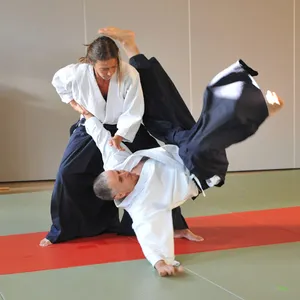 Learn Aikido screenshot 1