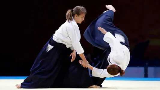 Learn Aikido screenshot 2