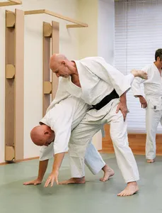 Learn Aikido screenshot 4