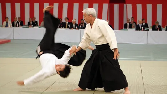 Learn Aikido screenshot 5