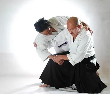 Learn Aikido screenshot 7