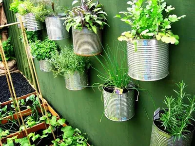 Learn Gardening screenshot 0