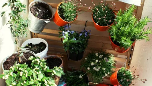 Learn Gardening screenshot 1