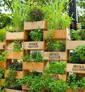 Learn Gardening screenshot 11