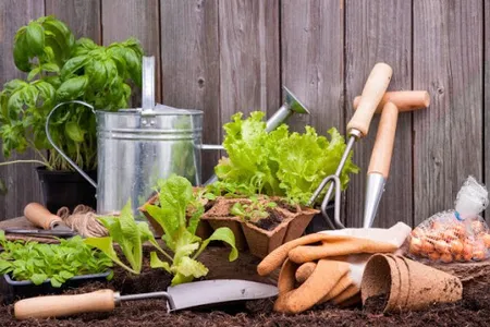 Learn Gardening screenshot 4