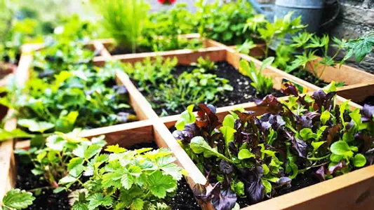 Learn Gardening screenshot 5
