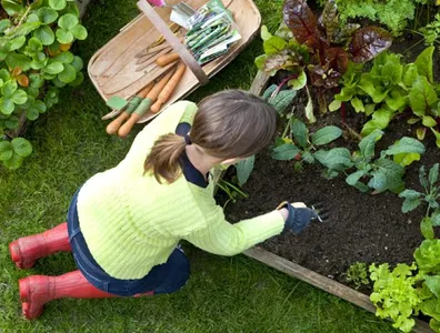 Learn Gardening screenshot 7